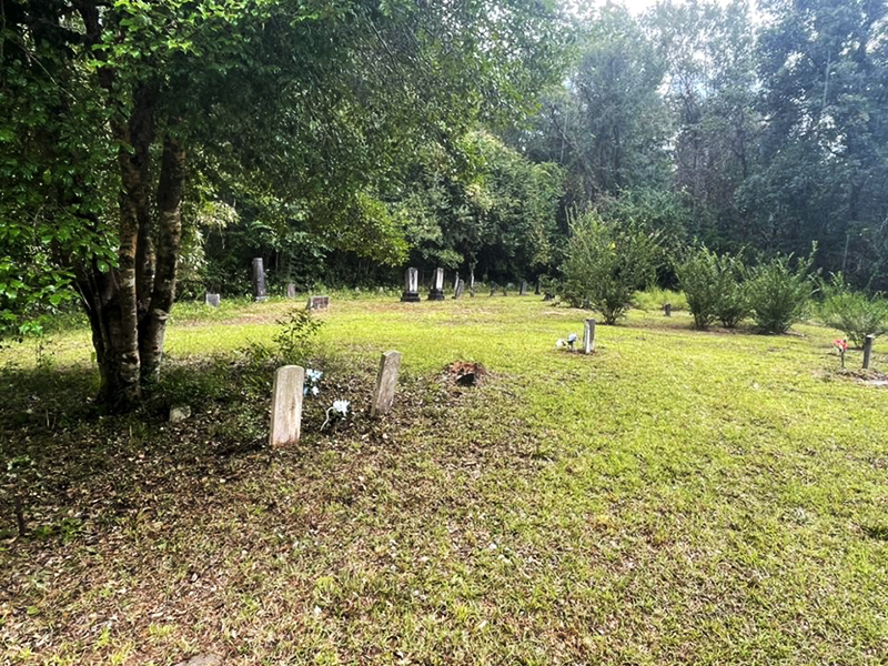 The cemetery after Alana and her family cleared the vegetation and mowed the grass with headstones and paths clearly visible
