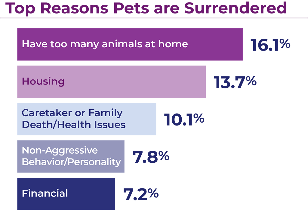 Bar graph showing top five reasons pets are surrendered