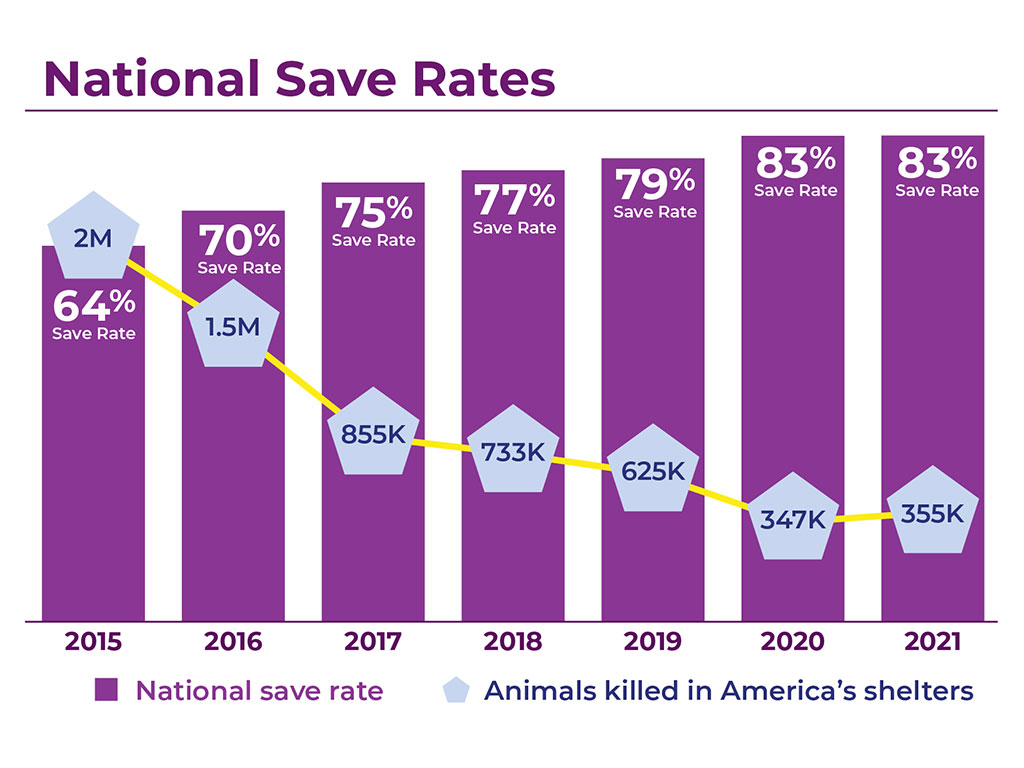 Bar graph showing the difference between the kill rate and save rate at animal shelters from 2015 to 2021