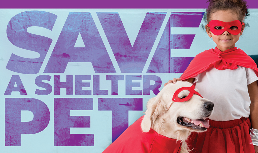 Image of a young girl with an adult golden retriever both wearing red superhero capes and masks. Large purple Save a Shelter Pet text in the background.