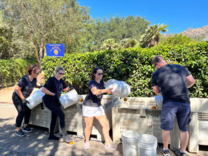 Three women and one man pour oranges they have just picked from white buckets into larger bins in a row in front of an orchard. CharityRx Reps Serve Nationwide on Founder’s Day