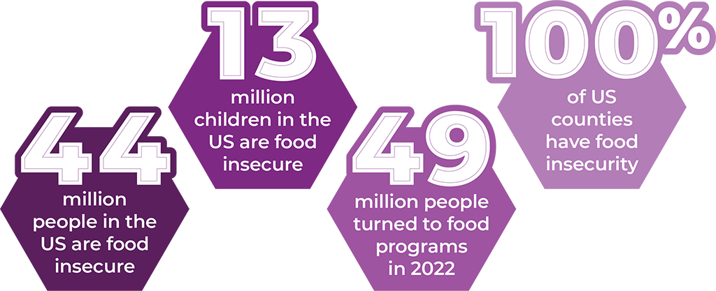 Graphic showing 44 million people in the US are food insecure, 13 million children in the US are food insecure, 49 million people turned to food programs in 2022, and 100% of US counties have food insecurity.