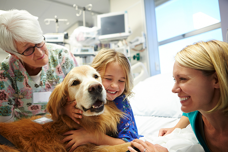 Image: A young child sitting in a hospital bed hugs a golden retriever as a volunteer and their mother look on, smiling.