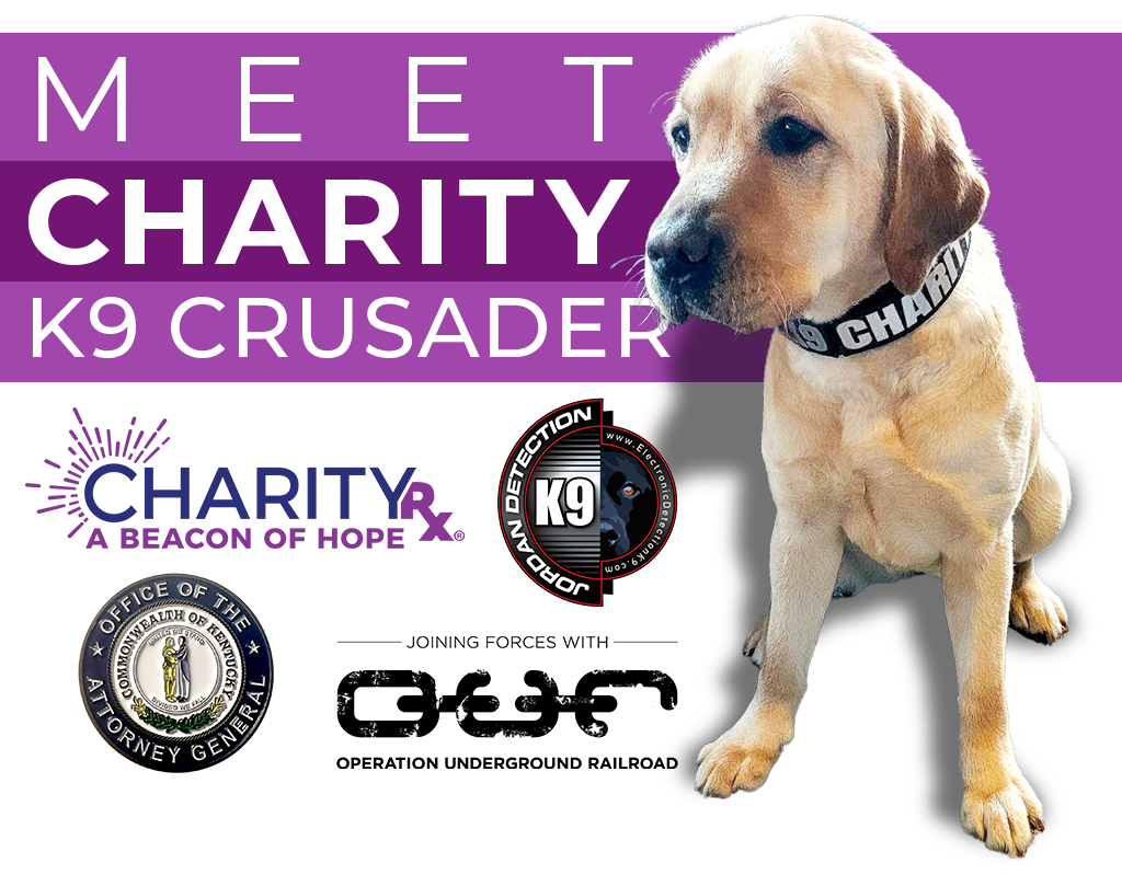 Meet Charity the K9 Crusader. Image of a sitting young yellow lab. Her collar says "Charity". Four logos are arranged at the bottom-left of the image: CharityRx, Jordan Detection, Kentucky Office of the Attorney General, and Operation Underground Railroad.