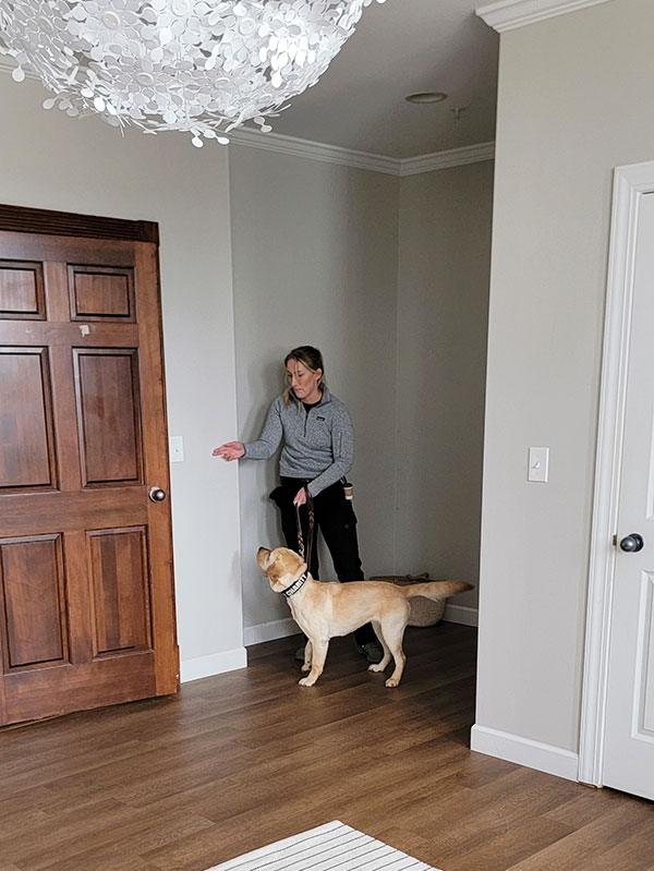 Image: A young woman detective holds the leash of Charity, the K9 Crusader and points to a light switch in a residential room.